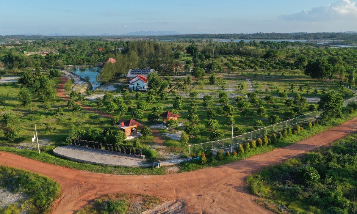 PT Timah Libatkan Bumdes Reklamasi 400 Hektare Bekas Tambang