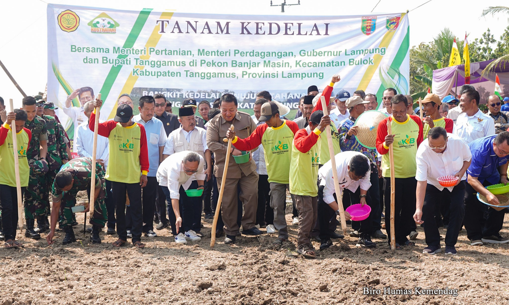 Putus Ketergantungan Impor, Pemerintah Rumuskan Harga Kedelai Lokal