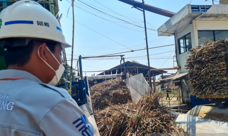 PG Assembagoes Situbondo Giling Tebu 54.323 Ton Dalam Dua Pekan