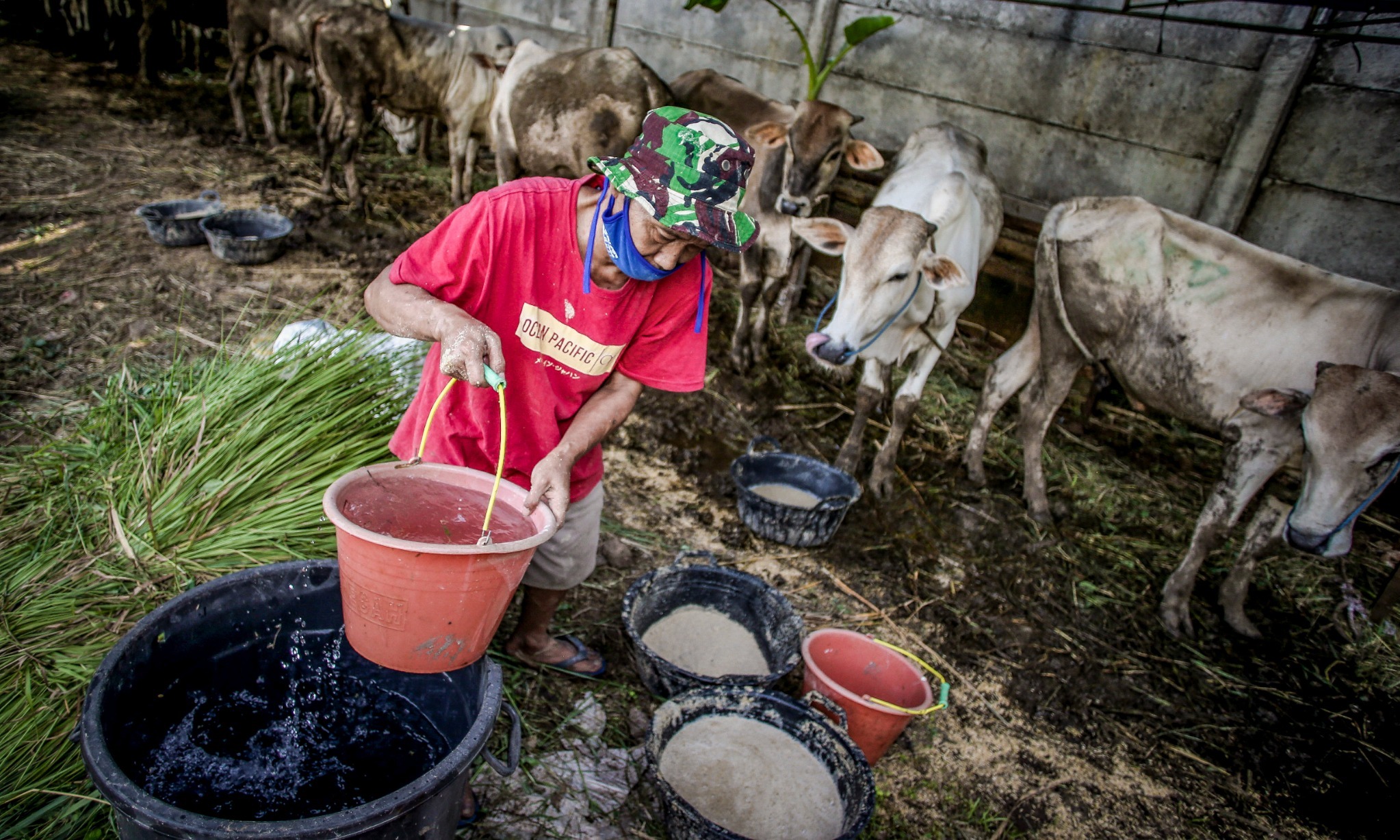 Masyarakat Diimbau Beli Hewan Kurban Dengan Surat Keterangan Sehat