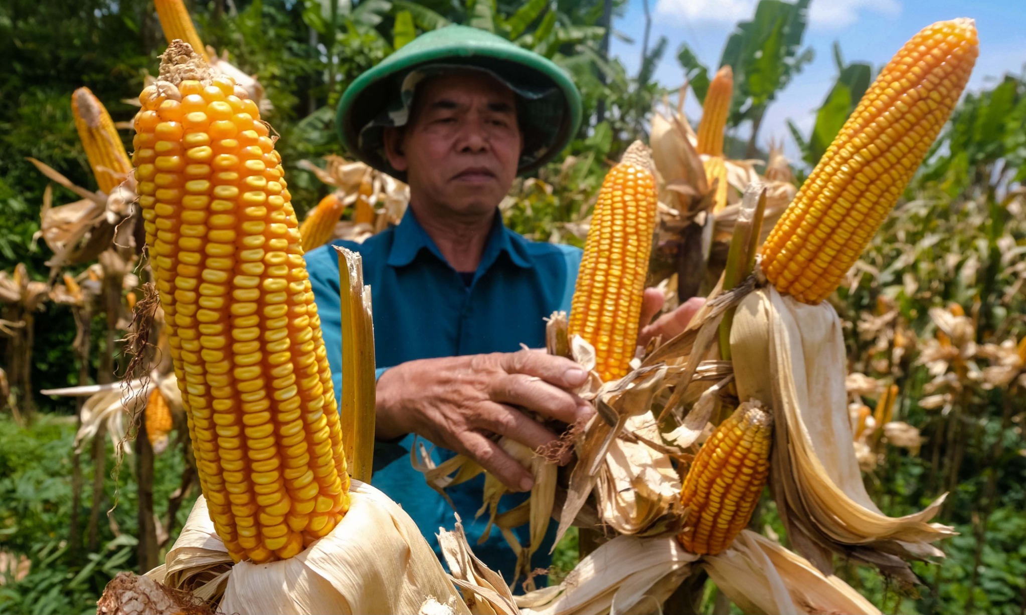 Kementan Canangkan Daerah Garap 1.000 Ha Lahan Untuk Ketahanan Pangan