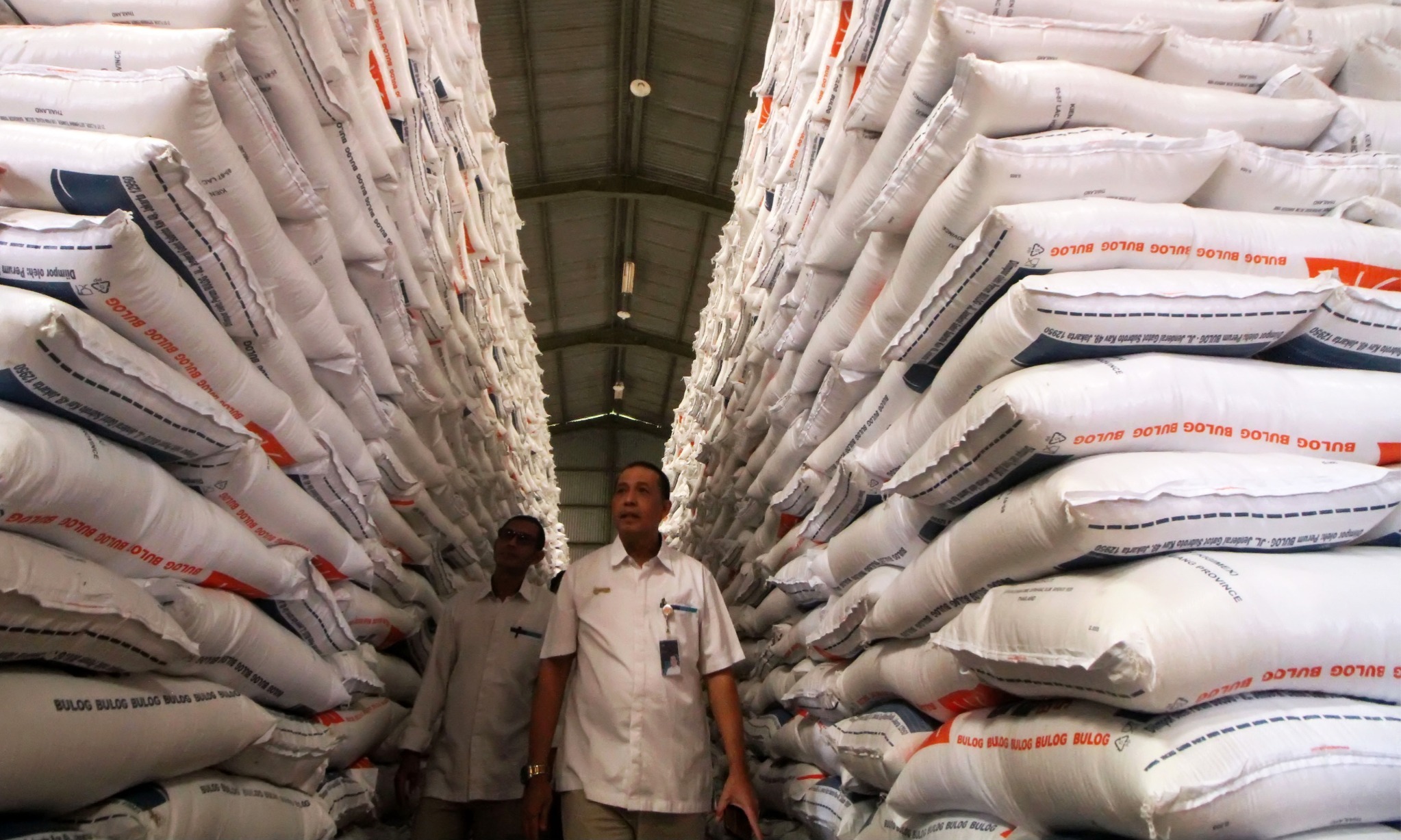 Penguatan CPP, Siasat Pemerintah Hadapi Tantangan El Nino