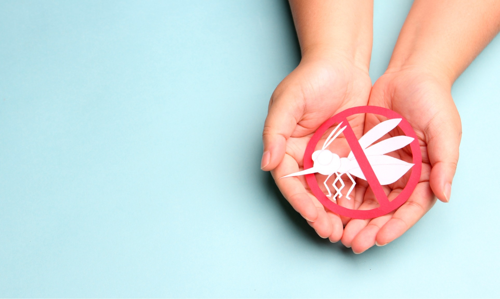 Lima Provinsi Di Indonesia Bebas Malaria