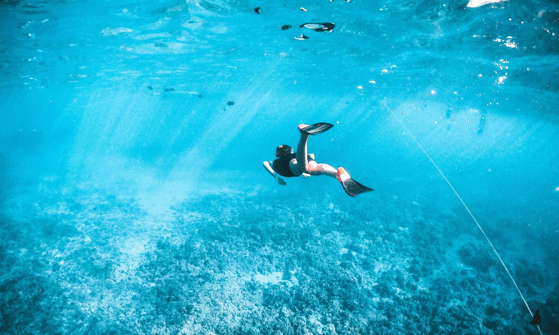 Pilihan Spot-Spot Terbaik Snorkeling Di Batam