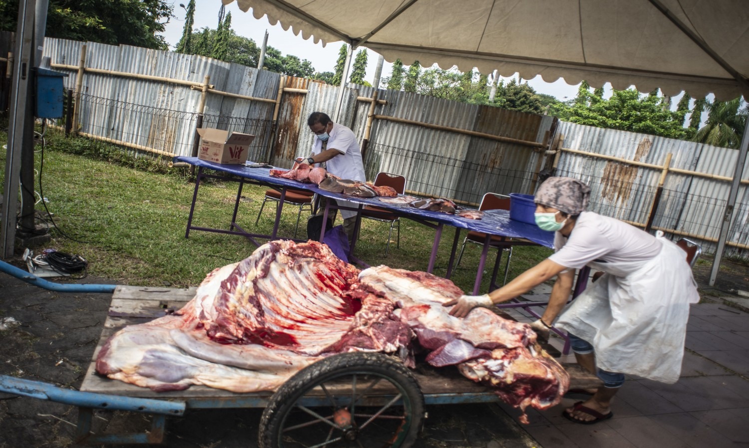IDEAS Petakan Distribusi Daging Kurban Ke Pelosok