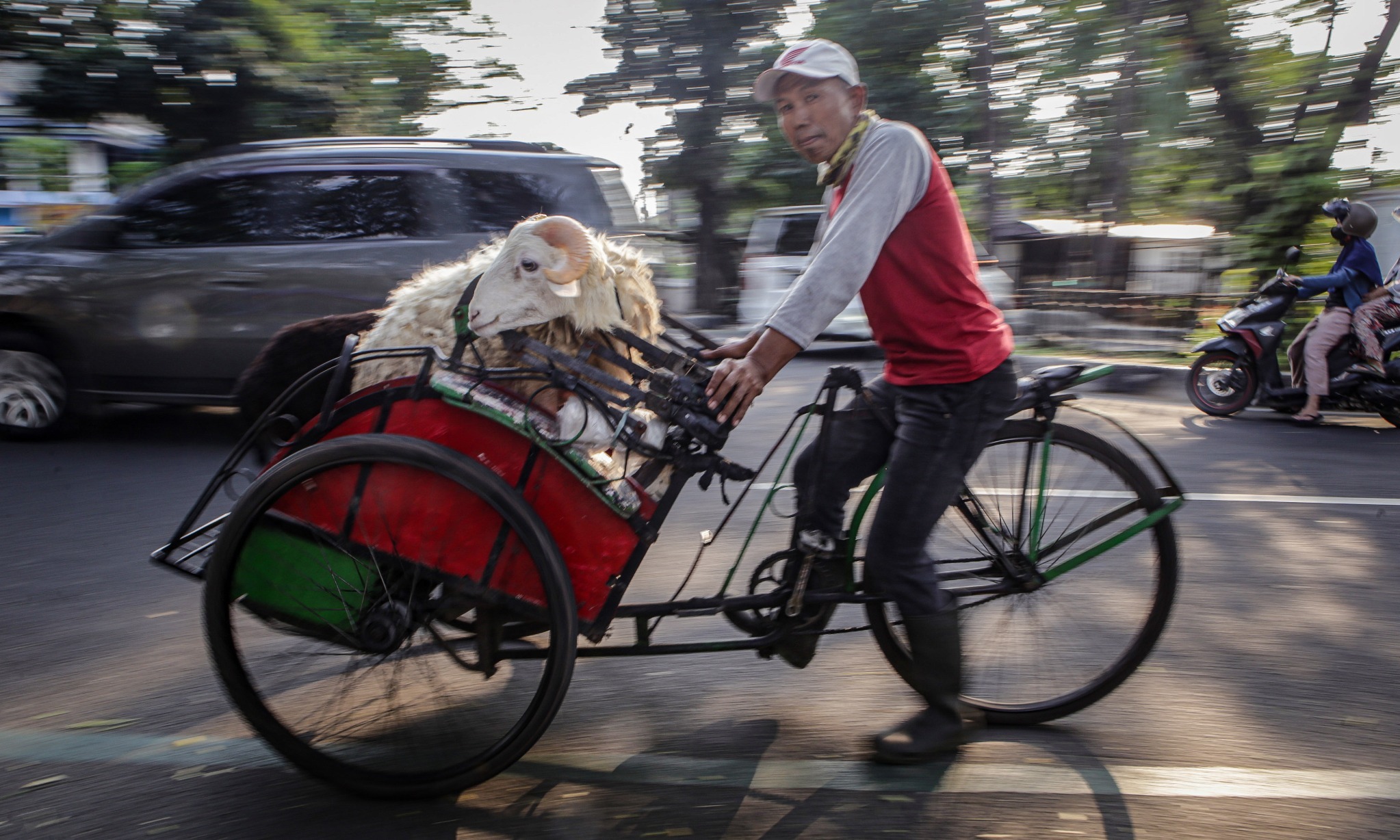 Kadin: Potensi Ekonomi Iduladha Lampaui Rp24 Triliun