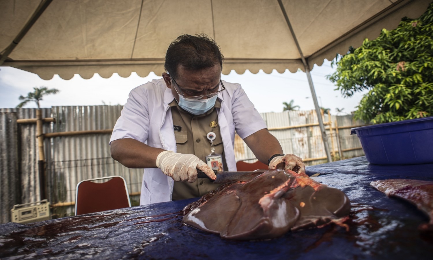 Warga Diserukan Masak Daging Agar Terhindar Dari Kecacingan