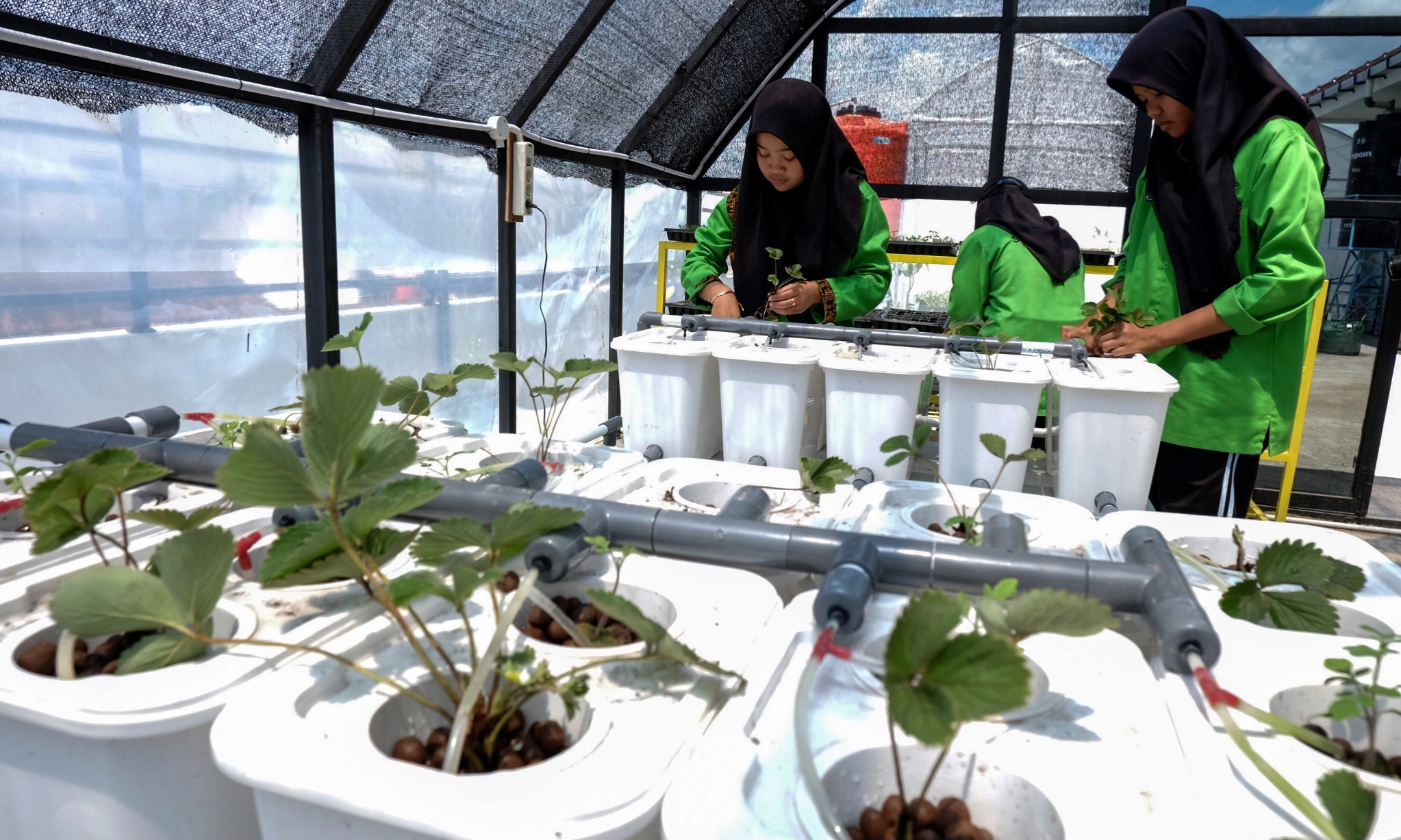 Lulusan Vokasi Dominasi Pengangguran di Indonesia, Ini Kata Kadin