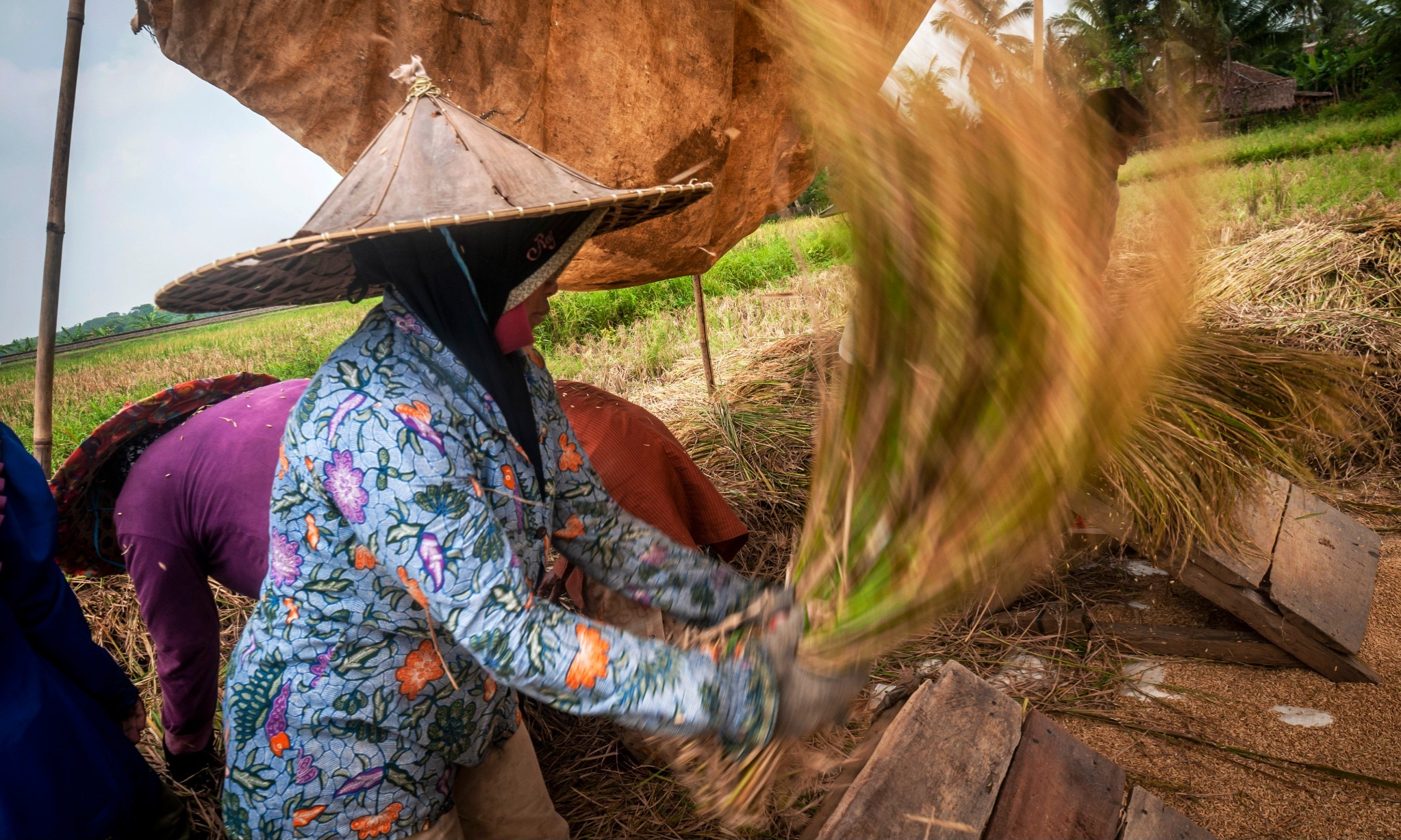 BI: Beragam Momen Perkuat Kegiatan Usaha Nasional Kuartal II