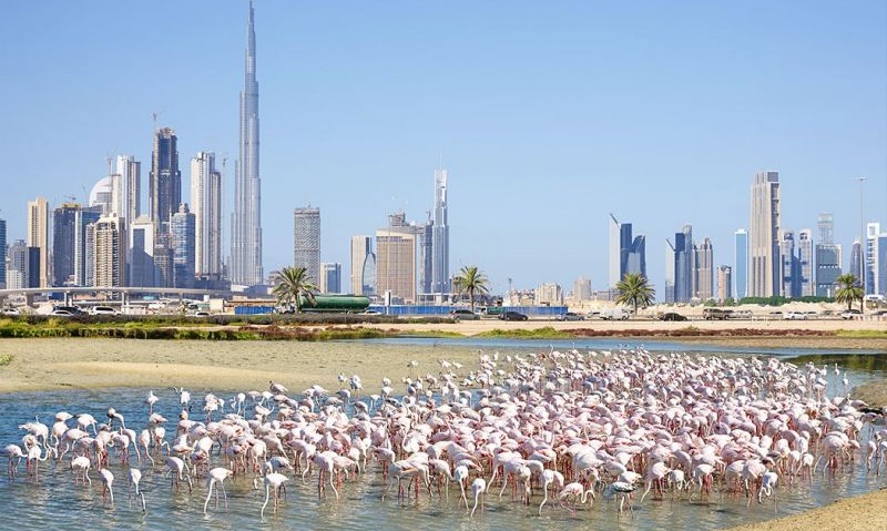 Destinasi Wisata Hidden Gem Yang Wajib Dikunjungi Di Dubai