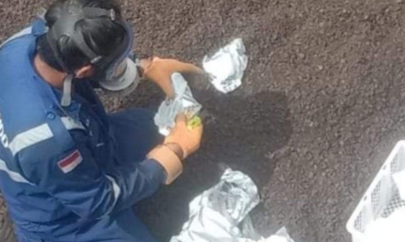 10,500 Ton Cangkang Sawit Sulbar Diekspor Ke Jepang