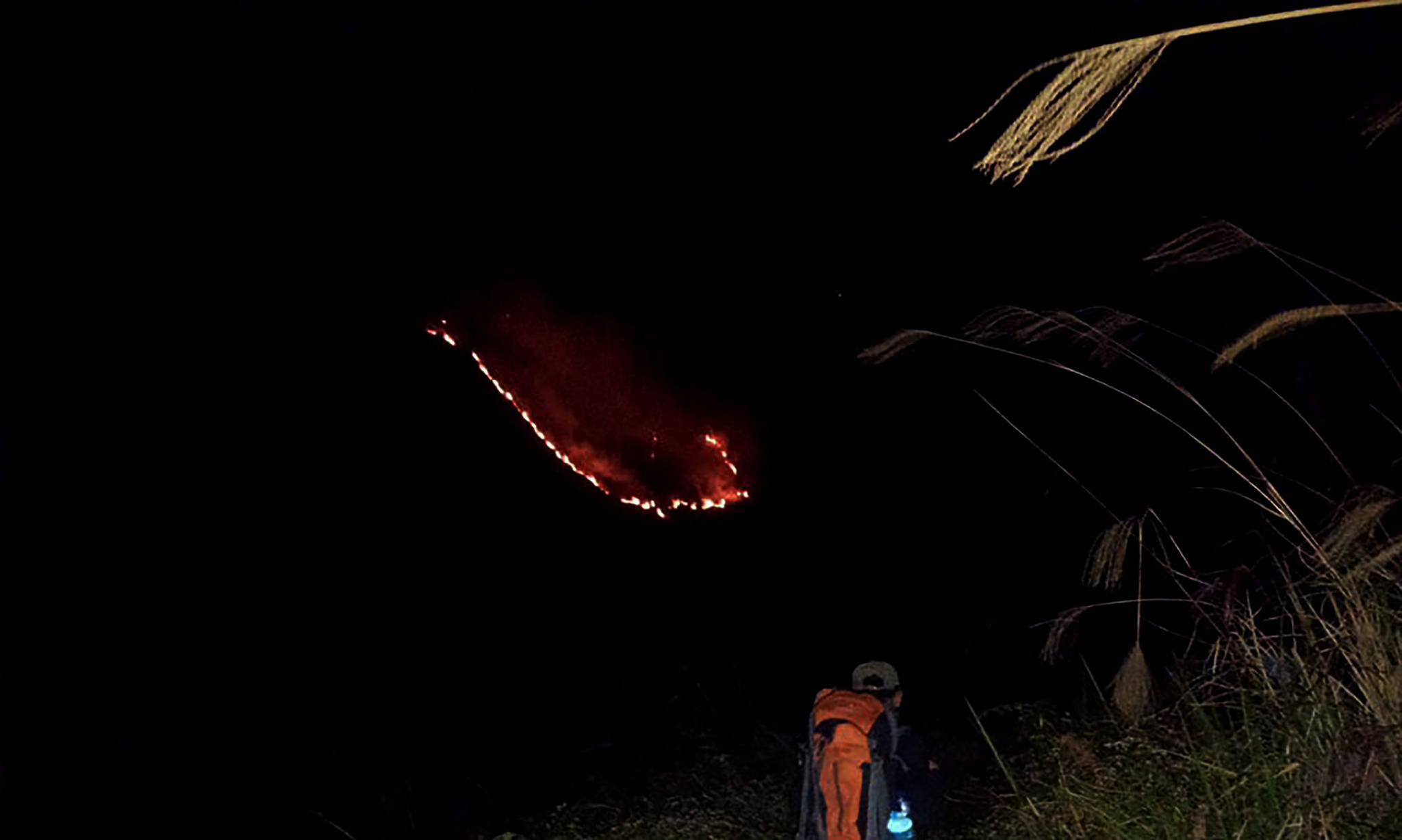 Kebakaran Gunung Rinjani Landa 205 Ha Lahan
