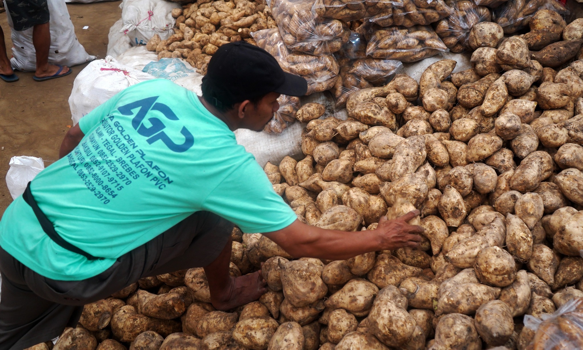 Pemkab Lebak Penuhi Makanan Pendamping Beras Di Tengah El Nino