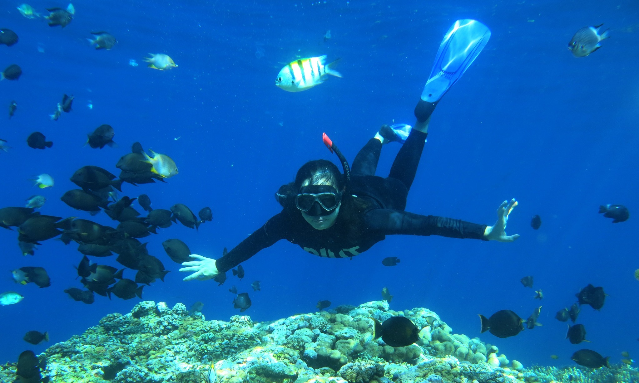 KKP Perkuat Peran Masyarakat Pesisir Kelola Kawasan Konservasi