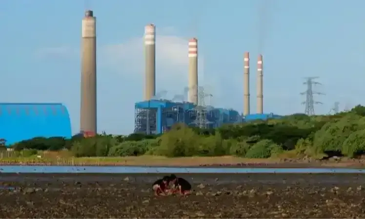 Analis: Perlu Sosialisasi Lebih Lanjut Soal Bursa Karbon