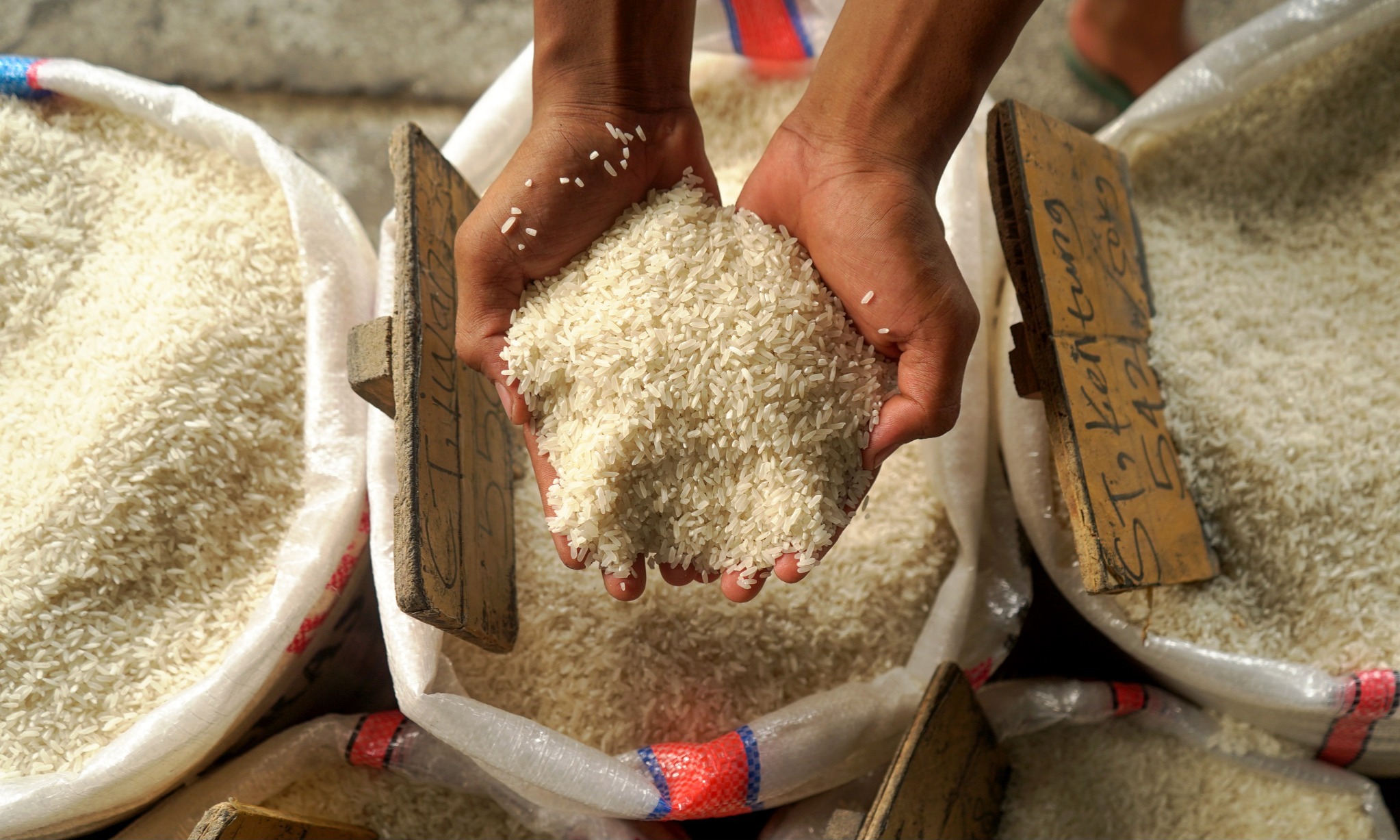 Bapanas Percepat Penyaluran Bantuan Beras