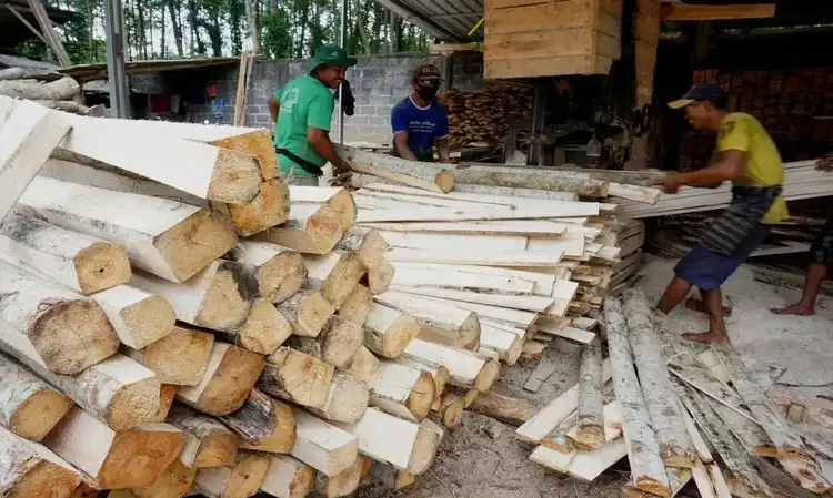 Hilirisasi Industri Produk Hasil Hutan, Begini Penjelasan Kemenperin