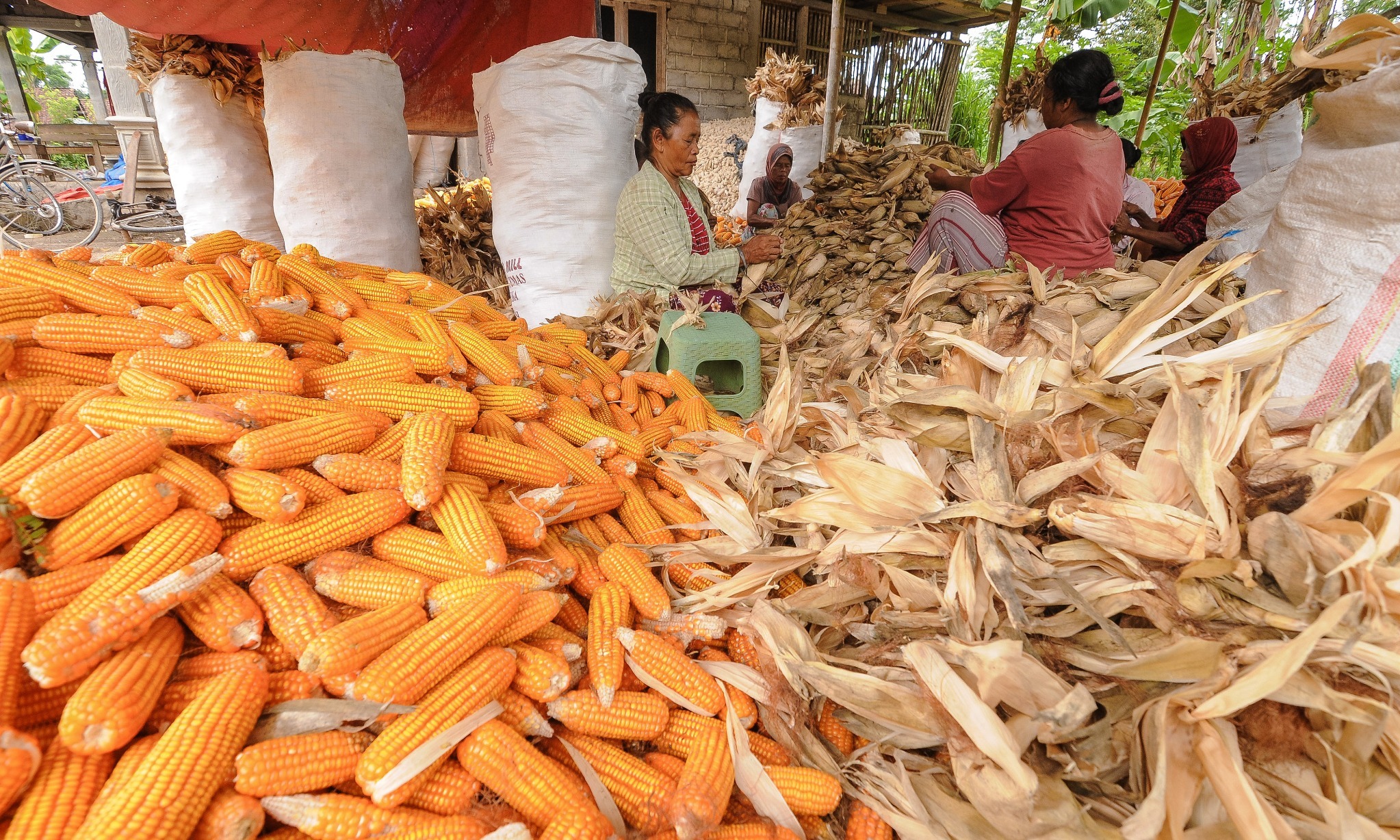 Bapanas Jaga Daya Ungkit Komoditas Pangan Dengan Hilirisasi Produk