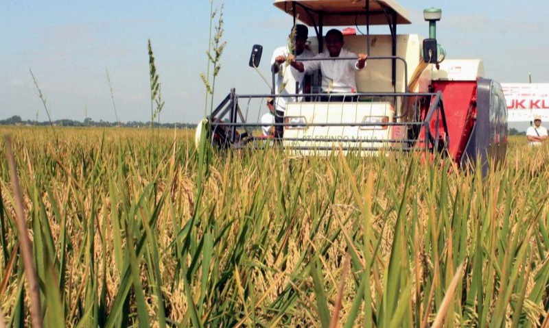 Bupati Karawang: Pengendalian Hama Jadi Kunci Menjaga Produksi Padi