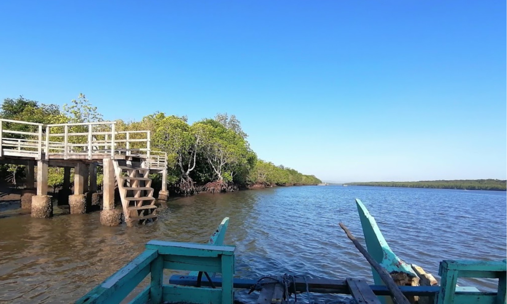 Hutan Bakau Bedul, Amazon-nya Indonesia Di Banyuwangi