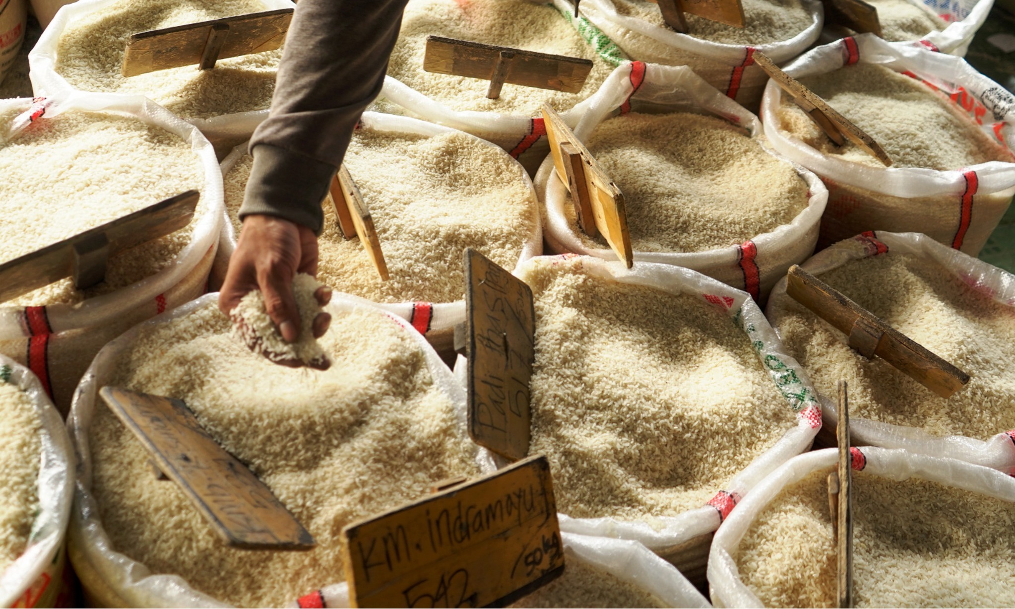 Mendagri Minta Evaluasi Intervensi Harga Beras