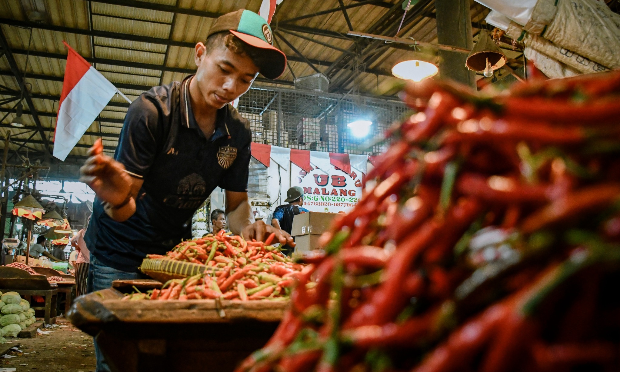 IKAPPI Minta DKI Antisipasi Kenaikan Harga Cabai Dan Ayam