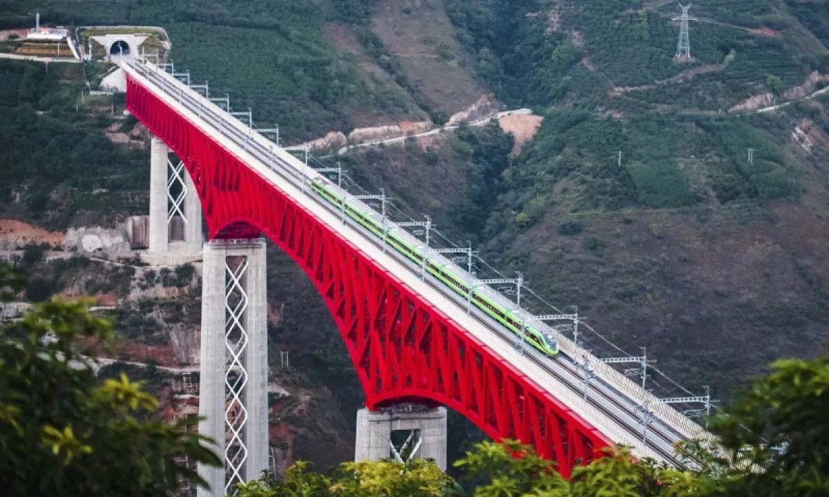 CELIOS: Investasi China Belum Cerminkan Komitmen Keberlanjutan