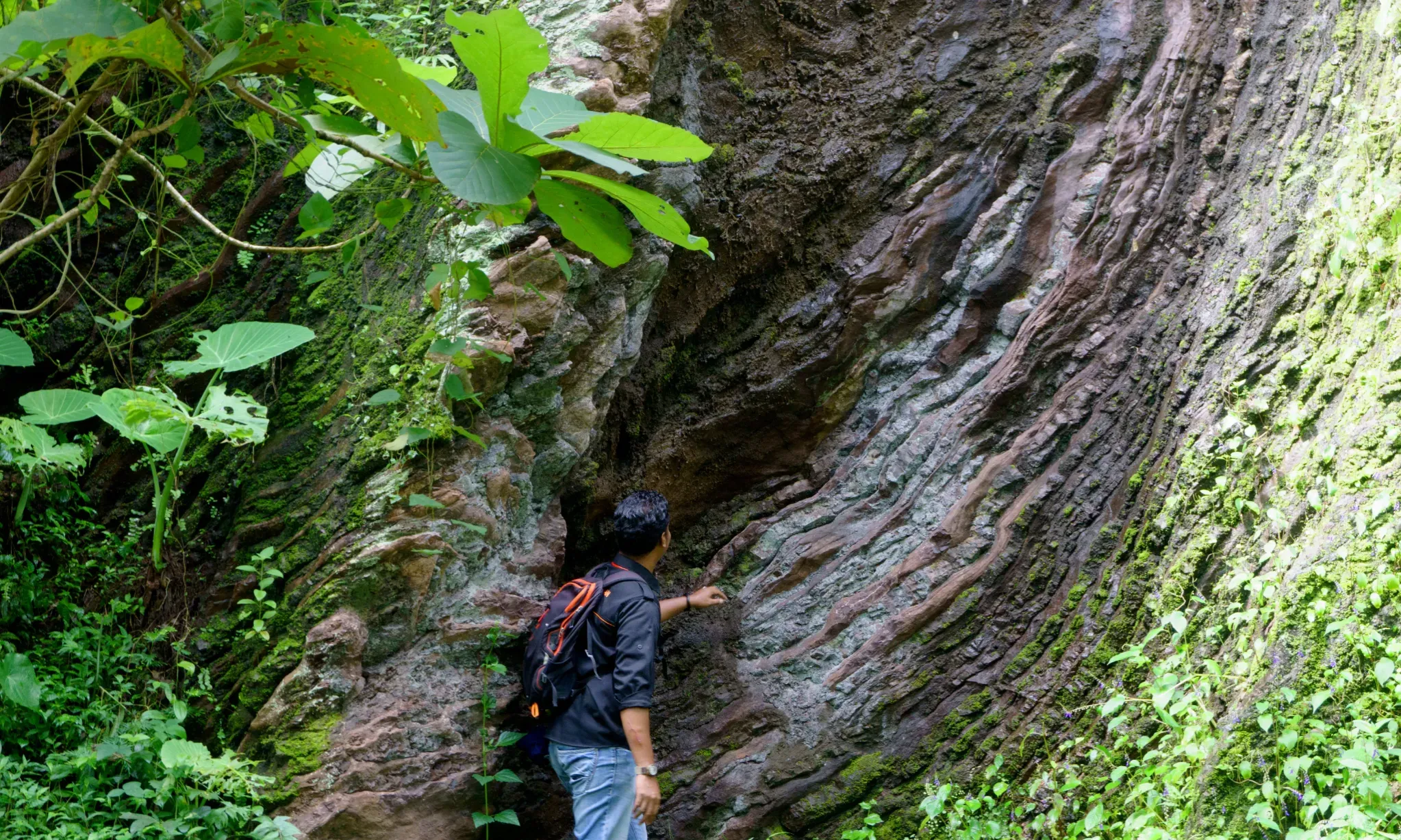 Geopark Karangsambung-Karangbolong, Dasar Terbentuknya Pulau Jawa
