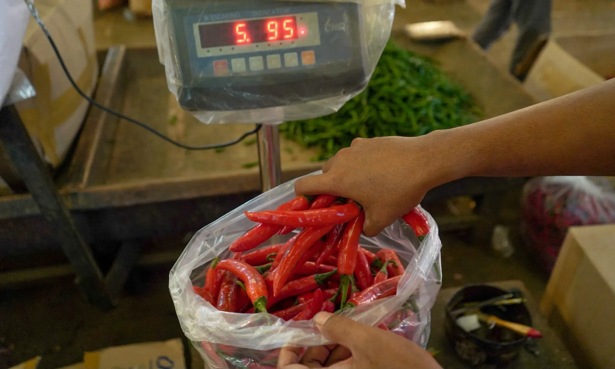 Cabai Hasil Panen Di Jaktim Dijual Lebih Murah