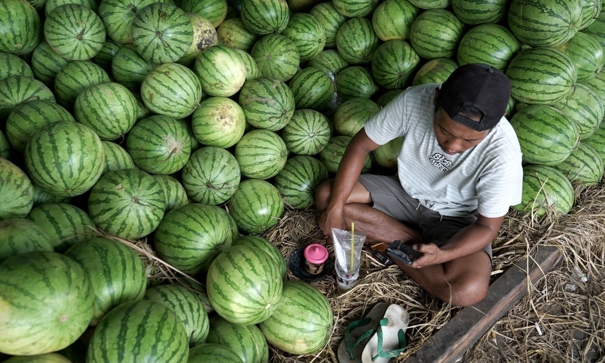 4 Negara Produsen Semangka Terbesar Dunia
