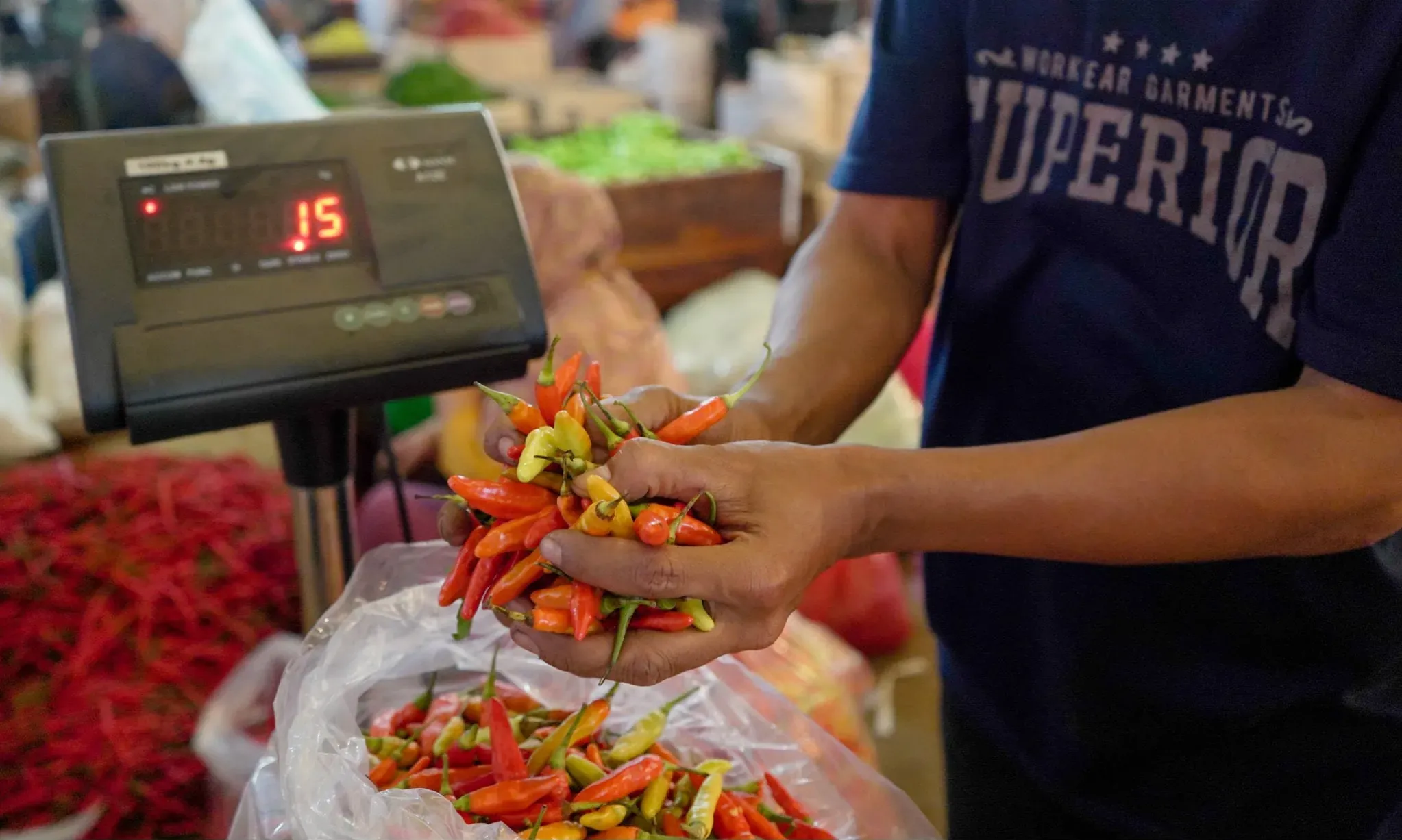 BPS Ingatkan Kenaikan Harga Cabai Merah, Cabai Rawit, dan Gula Pasir
