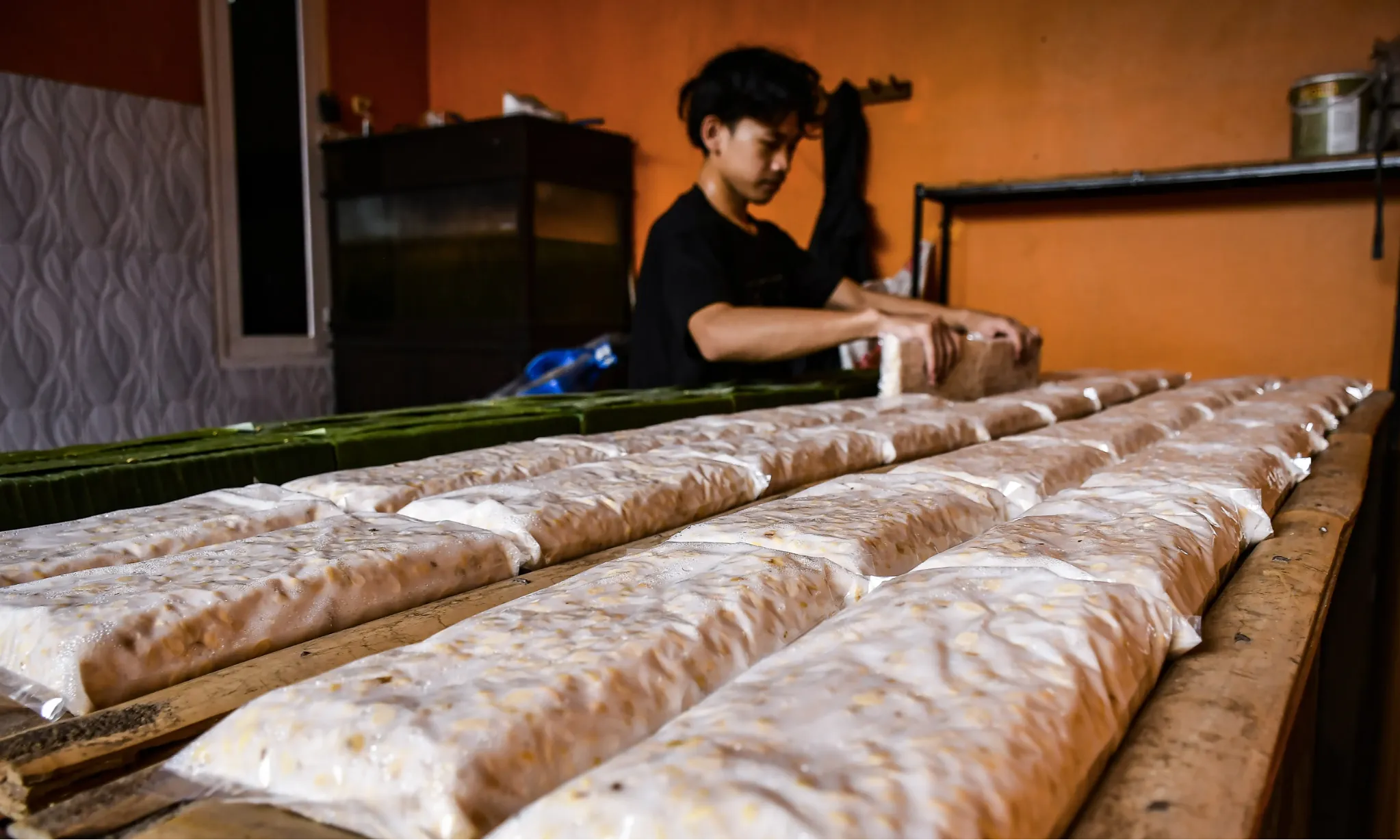 Harga Kedelai Naik, Gapkoptindo: Please Pemerintah, Siapkan Cadangan