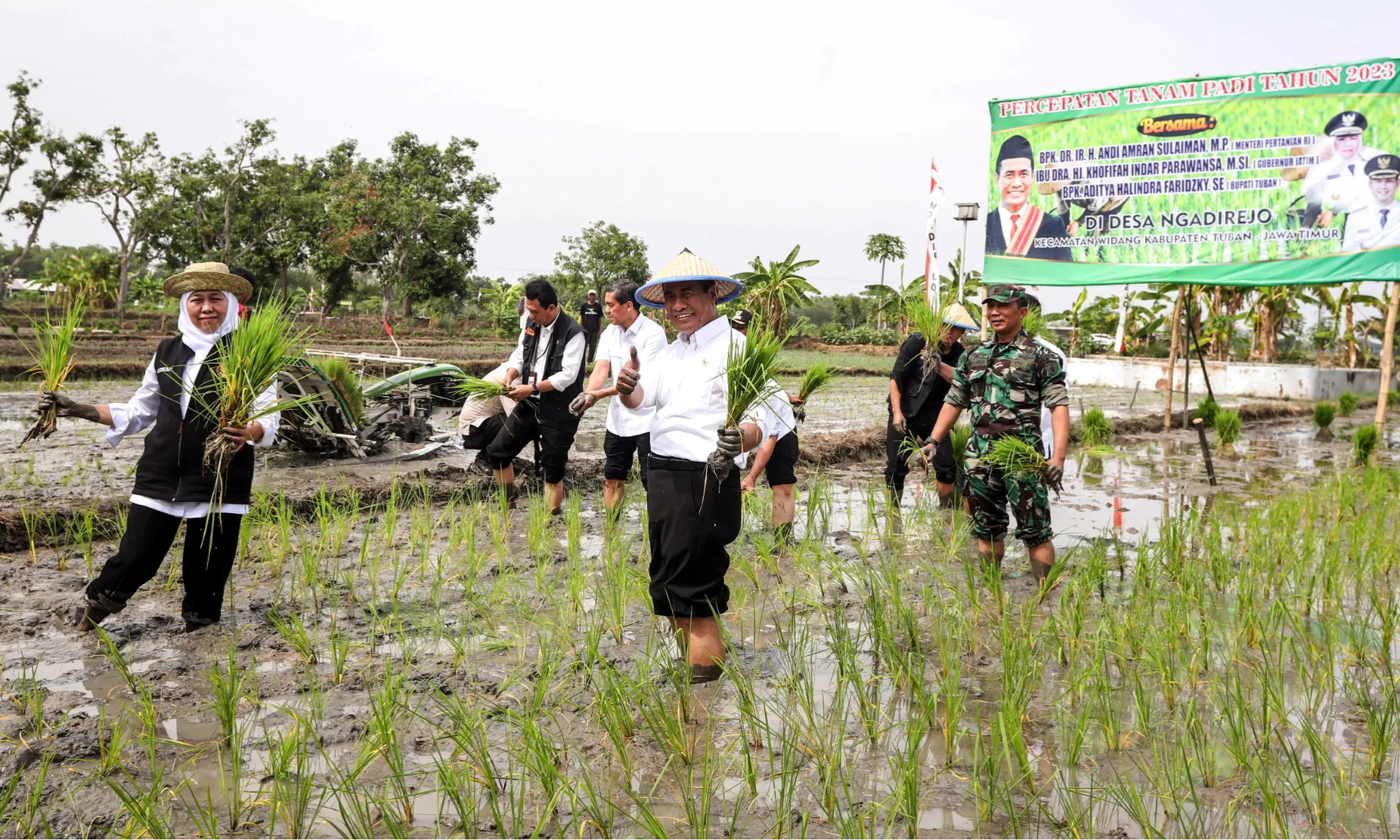 Tingkatkan Percepatan Tanam, Mentan Lakukan “Tanam Culik” di Tuban