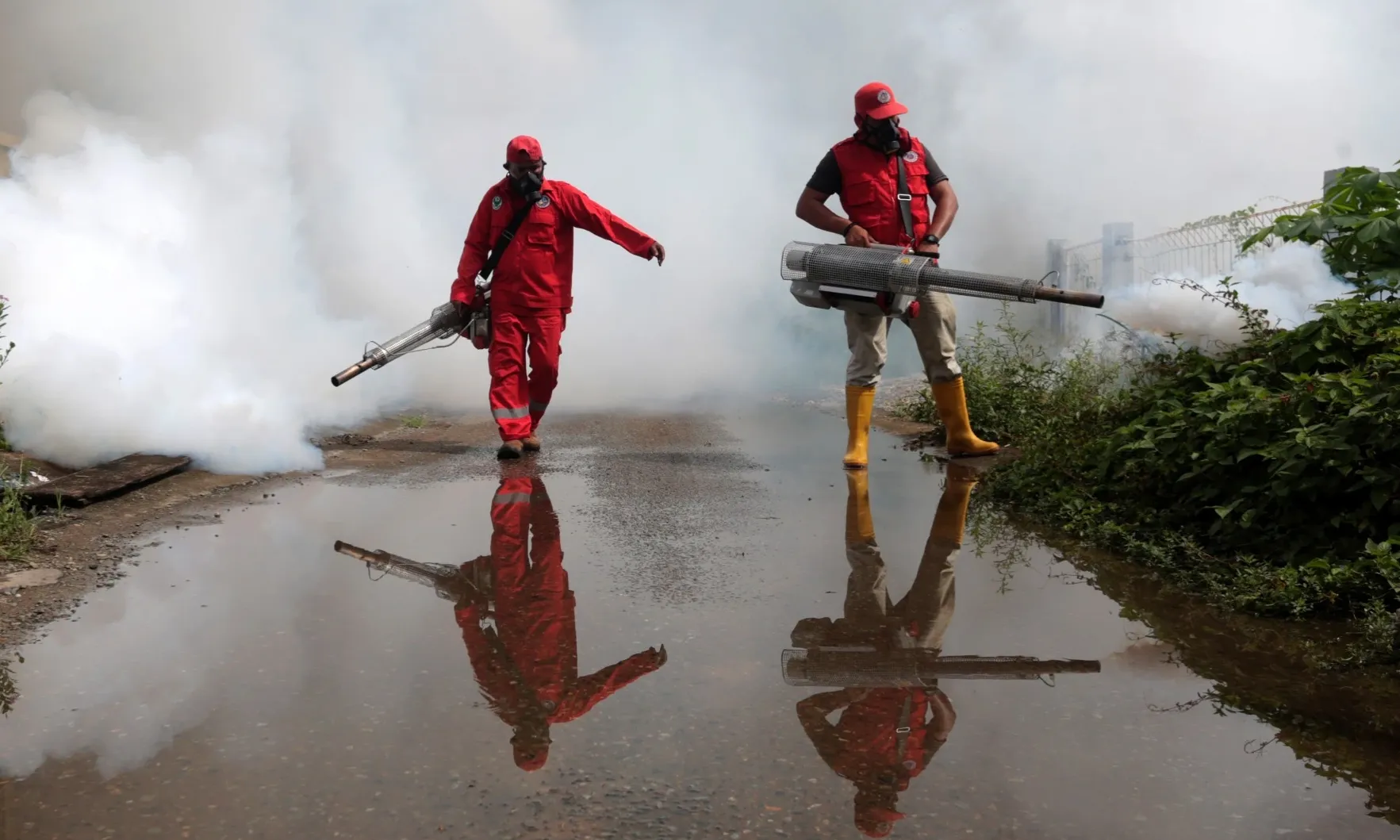 Menkes: 50 Tahun Intervensi DBD Gagal Tekan Kasus
