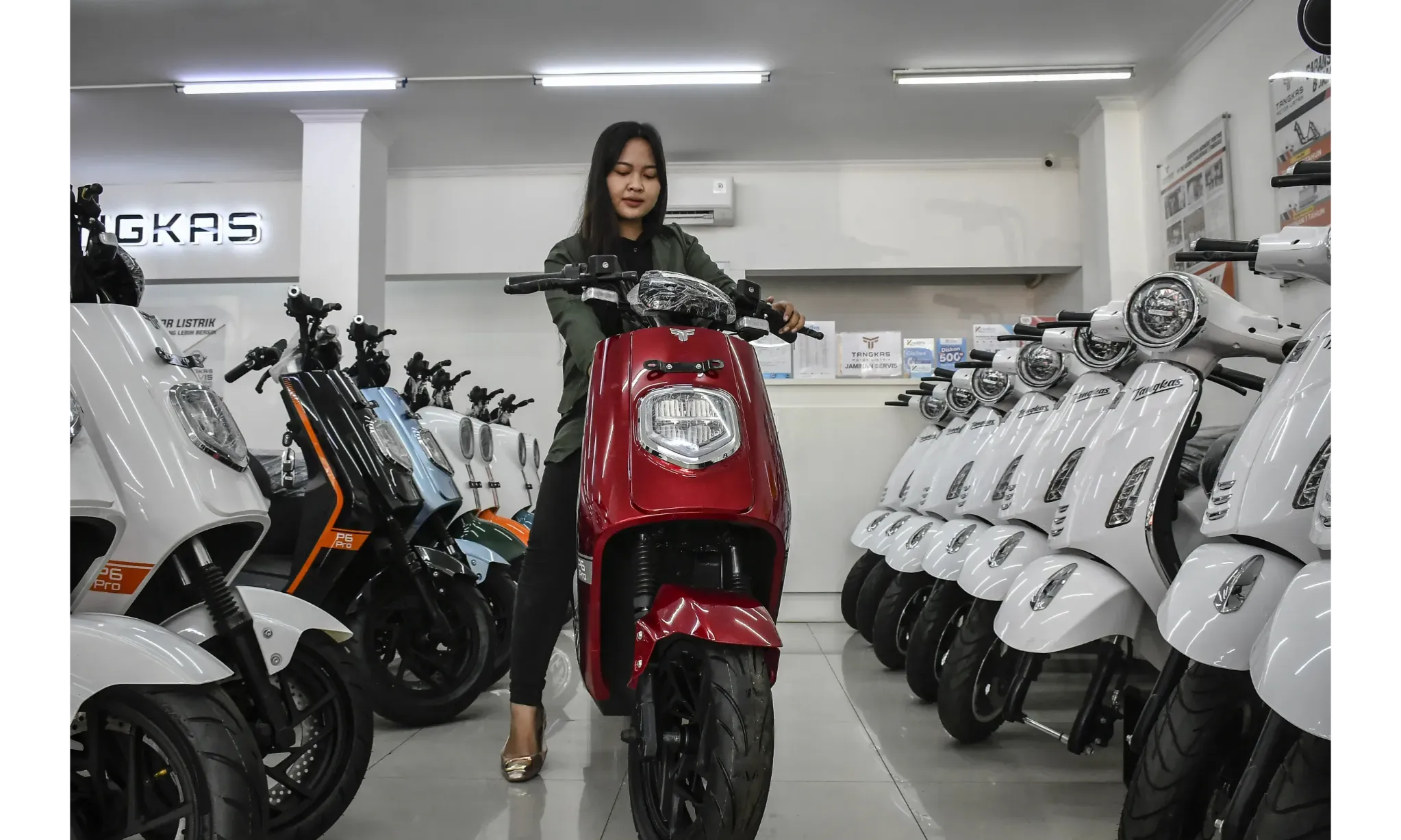 Indonesia Punya Potensi Kembangkan Kendaraan Listrik Sendiri