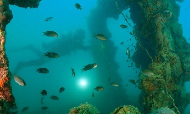 Menyelam Dan Berburu Foto Ikan Balong Padang Di KWBT Mandeh