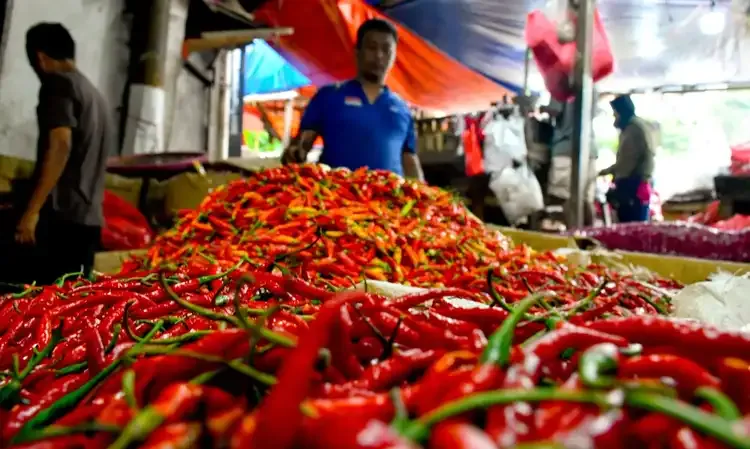 Zulhas Minta Pemda Gunakan Dana Cadangan Untuk Tekan Harga Cabai