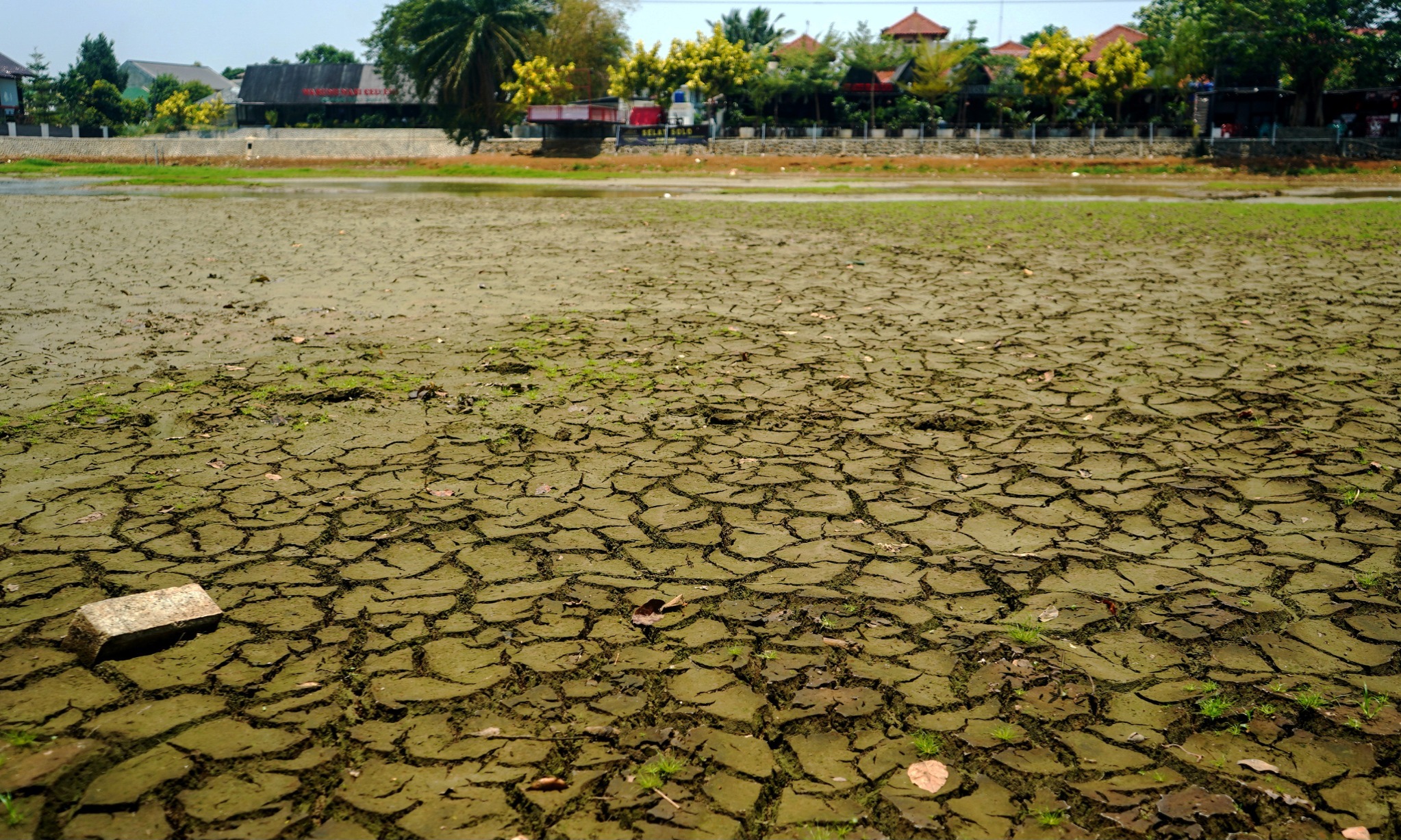 2023 Jadi Tahun Terpanas Dalam Sejarah