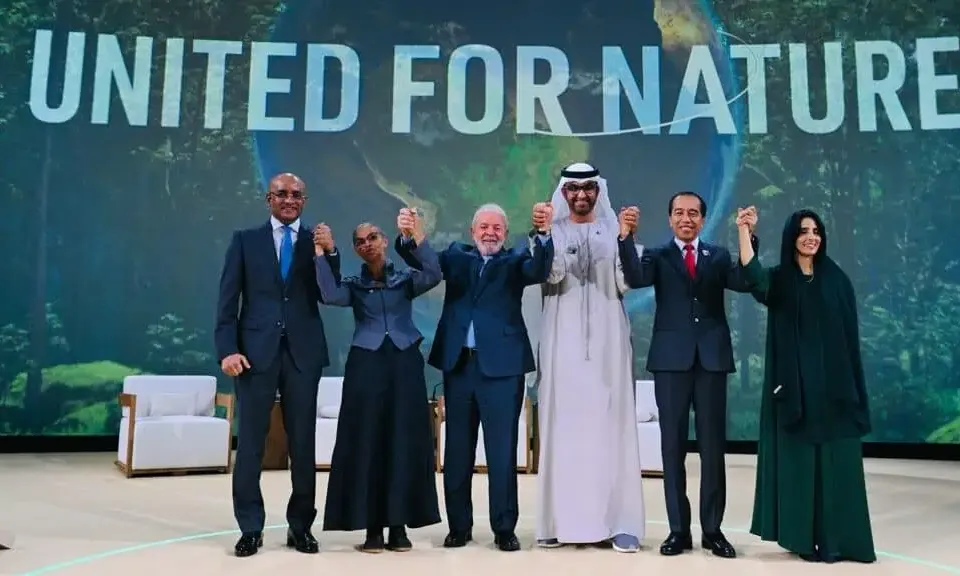 Jokowi: Kerja Keras Wujudkan Nol Emisi Karbon di 2060