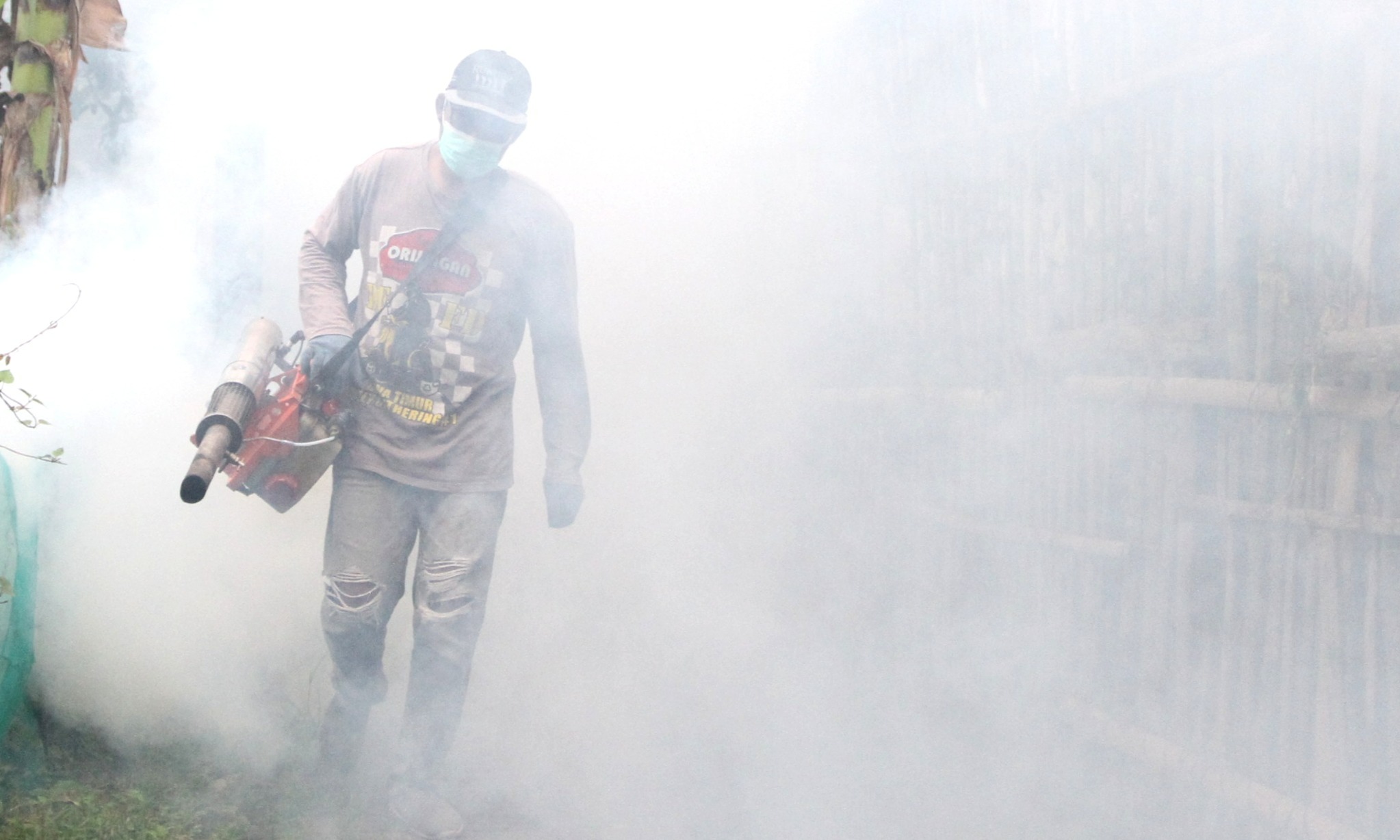 Tak Hanya DBD, Ini 7 Penyakit Endemi Di Indonesia