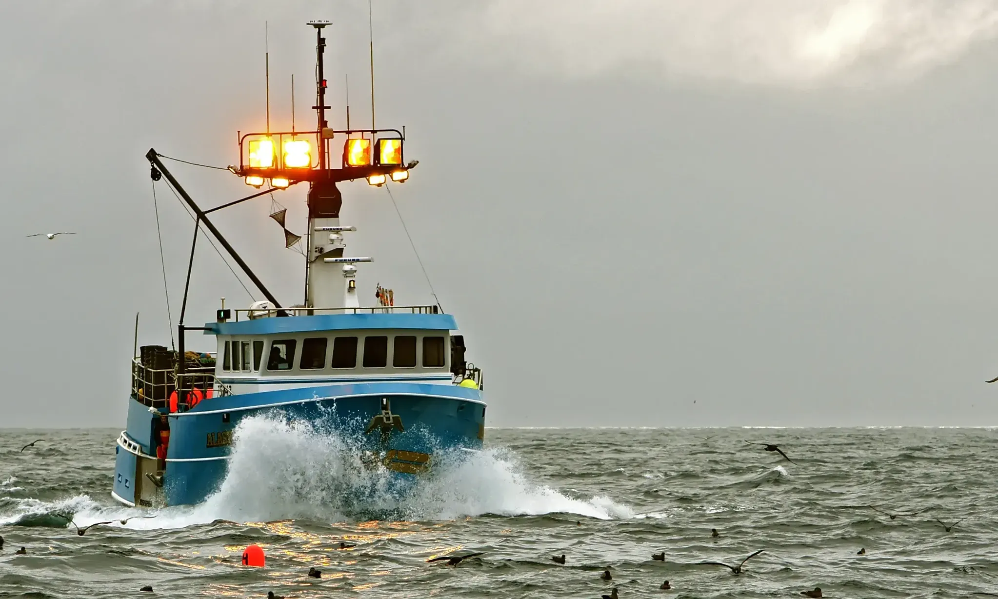 Hanya 6.000 Kapal Kantungi Izin Menangkap Ikan Di Indonesia