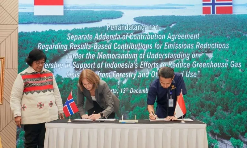 RI Terima 100 Juta Dolar AS Karena Penurunan Deforestasi