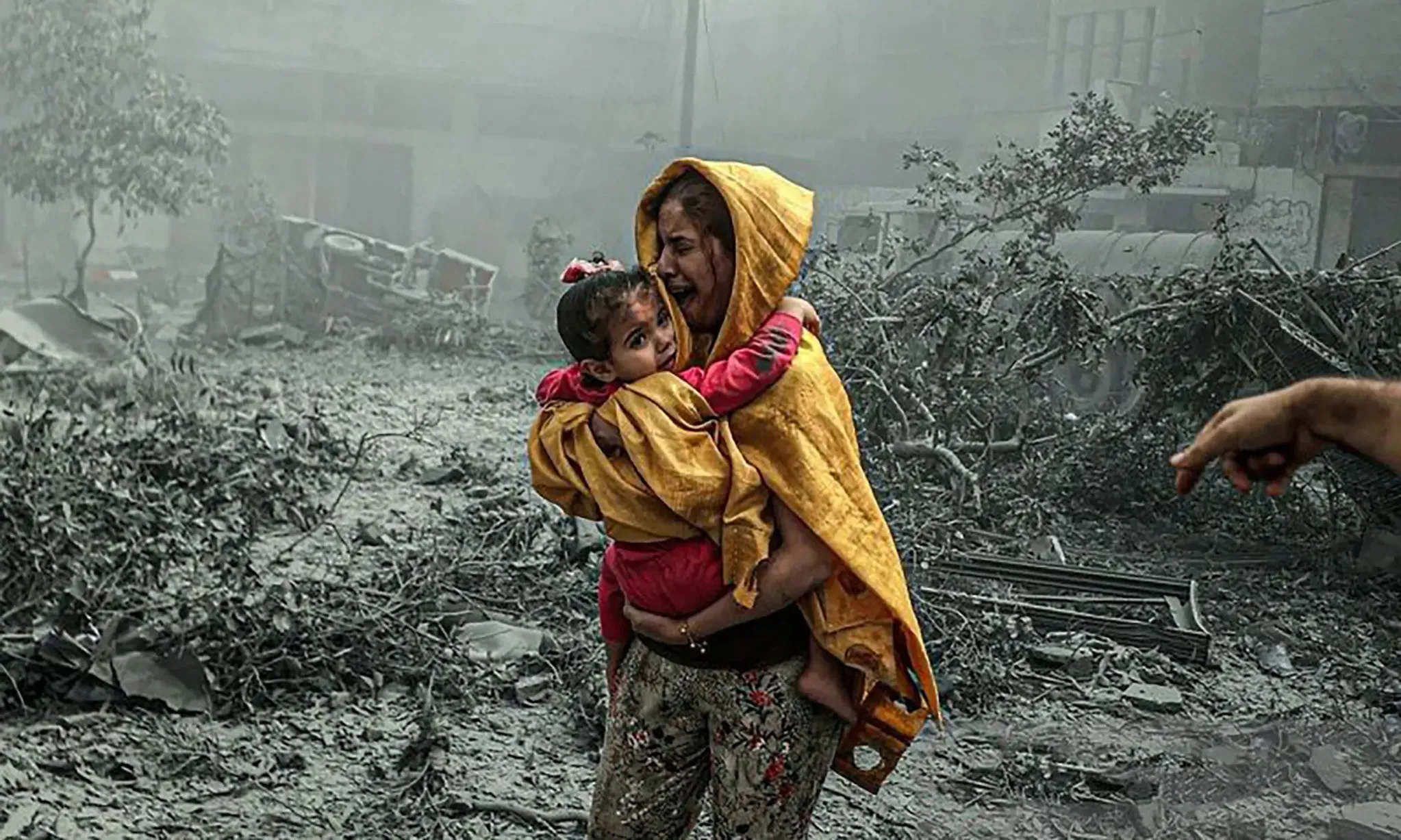 Tech for Palestine, Koalisi Teknologi Dukung Gencatan Senjata