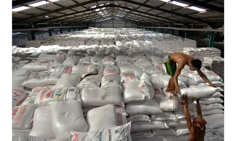 Tambahan Subsidi Pupuk Belum Atasi Akar Masalah Pertanian Dan Pangan