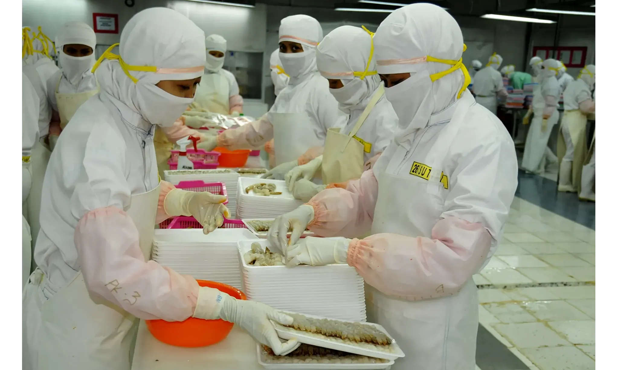 Amankan Ekspor Udang, KKP Bersiap Hadapi Langkah Antidumping AS