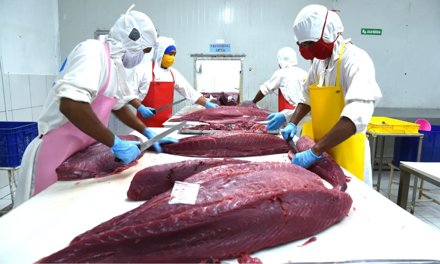 Tarif Ekspor Olahan Tuna ke Jepang Jadi 0%