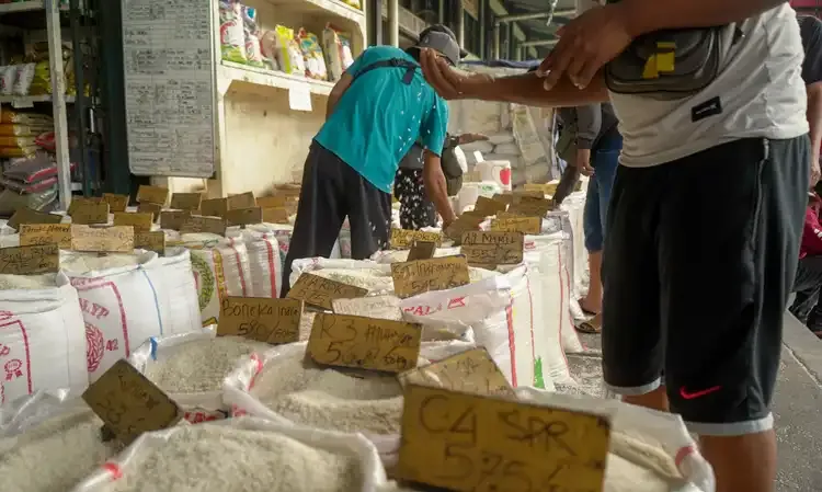 Tidak Pengaruhi Harga, Bulog Pastikan Enggan Ubah HET Beras