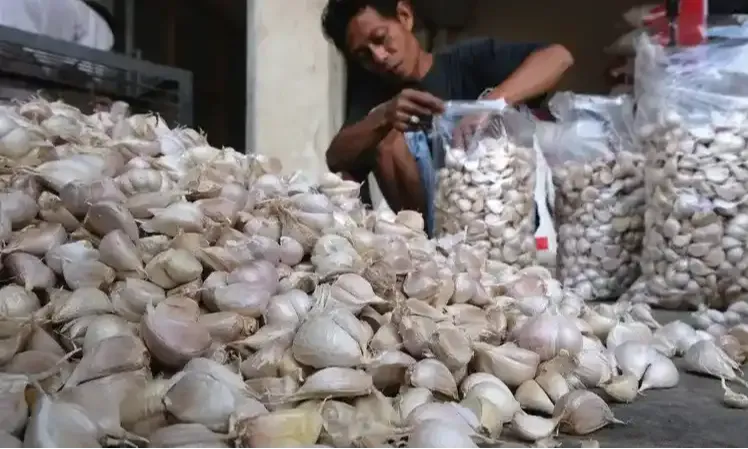 Bawang Merah-Putih dan Daging Ayam Kompak Naik, CPP Bapanas Masih 0%