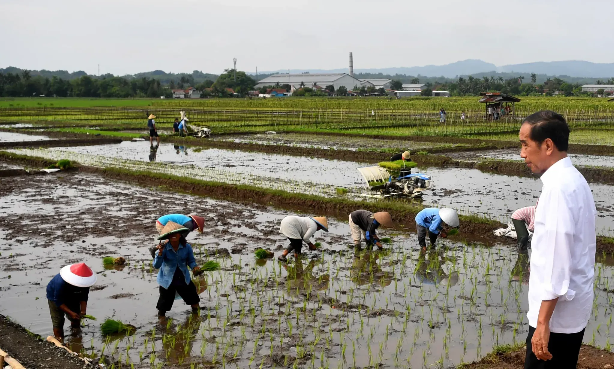 Moeldoko Nilai Komentar JK Soal Netralitas Jokowi Subjektif
