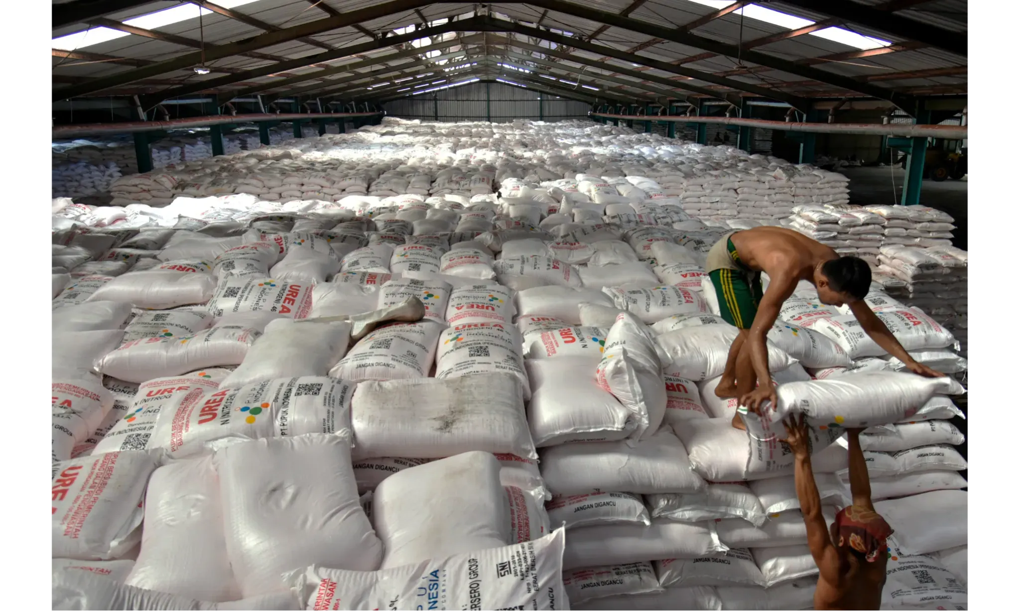 Menarget Swasembada Lewat Subsidi Pupuk